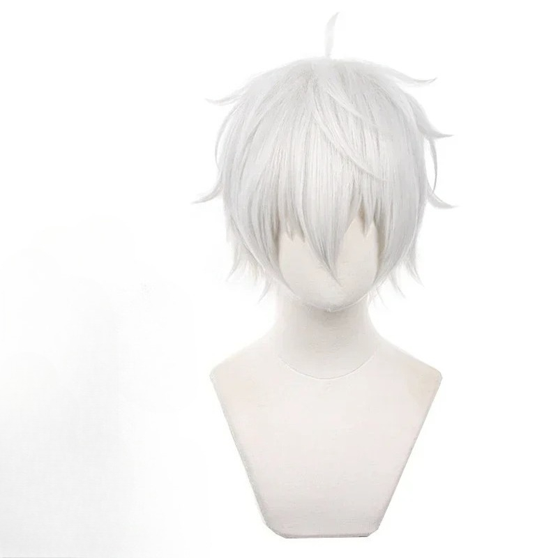 Anime Seishiro Nagi Cosplay Wi - Cosplay Anime White Hair recension och pris