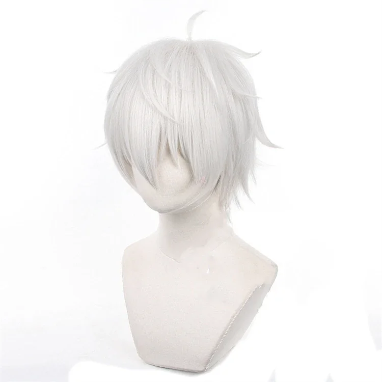 Anime Seishiro Nagi Cosplay Wi - Cosplay Anime White Hair recension och pris
