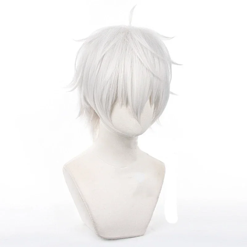 Anime Seishiro Nagi Cosplay Wi - Cosplay Anime White Hair recension och pris