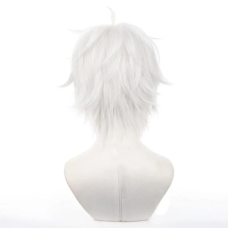 Anime Seishiro Nagi Cosplay Wi - Cosplay Anime White Hair recension och pris